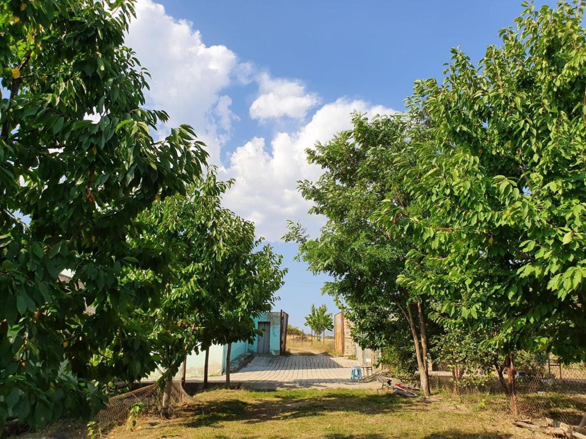Вілла La Casa De Habel Ґуба Екстер'єр фото