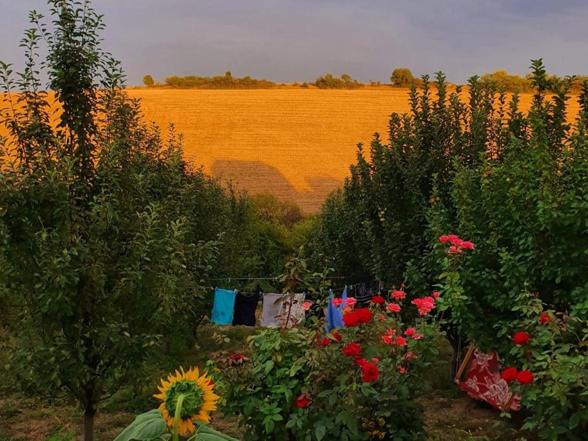 Вілла La Casa De Habel Ґуба Екстер'єр фото